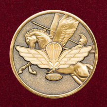 The Paratrooper's Coin